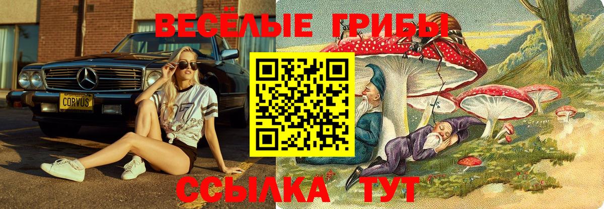 Галлюциногенные грибы прущие грибы Качканар