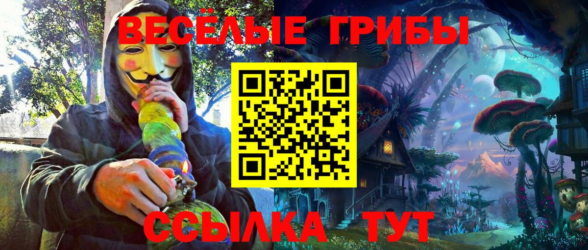 Качканар  Галлюциногенные грибы мицелий  Вход с VPN 